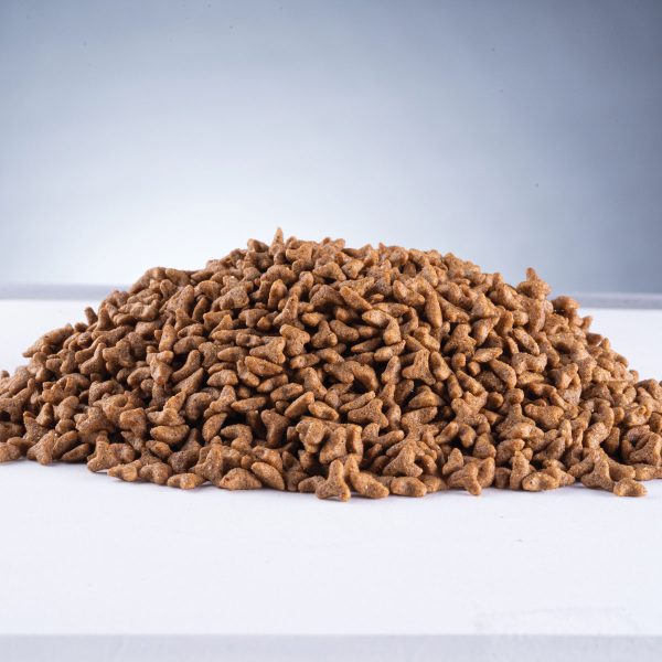 FST_0023-Nature-Formula-Gatos-Filhotes